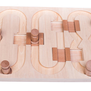 🧠 Advanced “008” Puzzle Game for Pets – Our Most Challenging Intelligence Toy