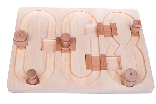 🧠 Advanced “008” Puzzle Game for Pets – Our Most Challenging Intelligence Toy