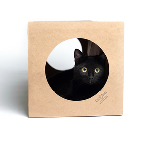 Hide & Sneak Paper Cat Play Tunnel