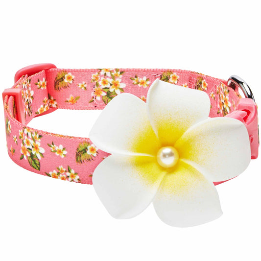 🌺 Tropical Flower Dog Collar – Bright, Durable & Stylish Everyday Wear 🐾
