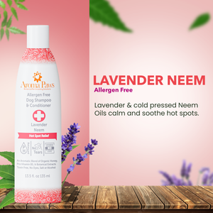 Shampoo Allergen Free Hot Spot