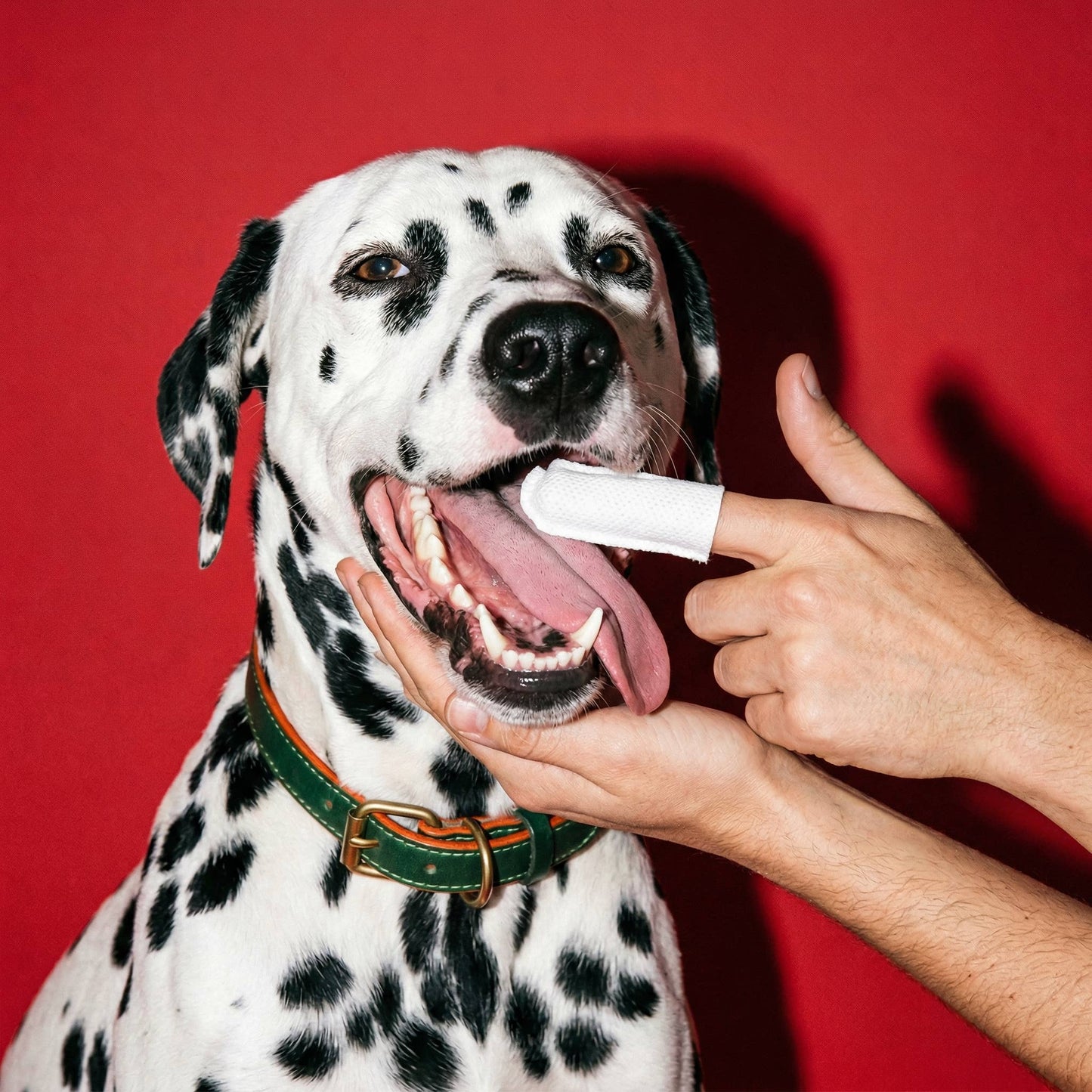 🦷🐾 ROOFUS Dental Wipes (60ct) – Easy, Daily Oral Care for Dogs & Cats