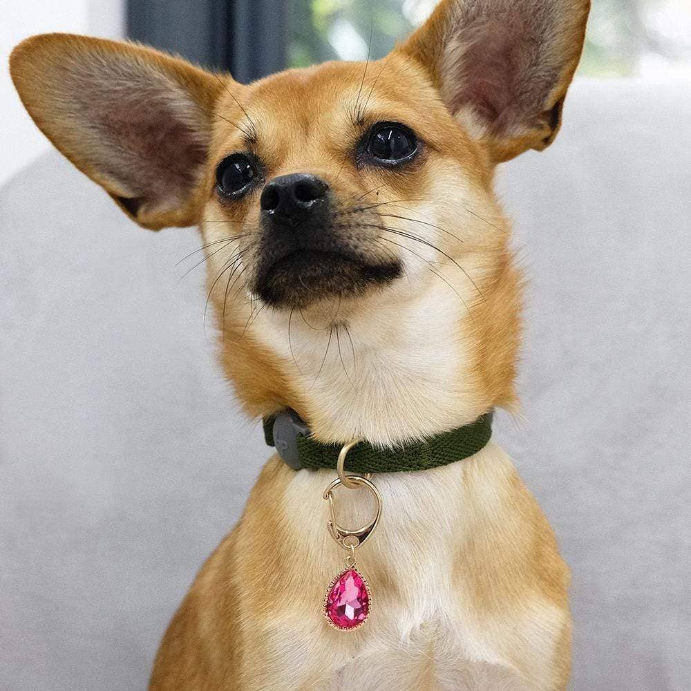 🌸👑 Flower & Pendant Dog Collar Accessory Set