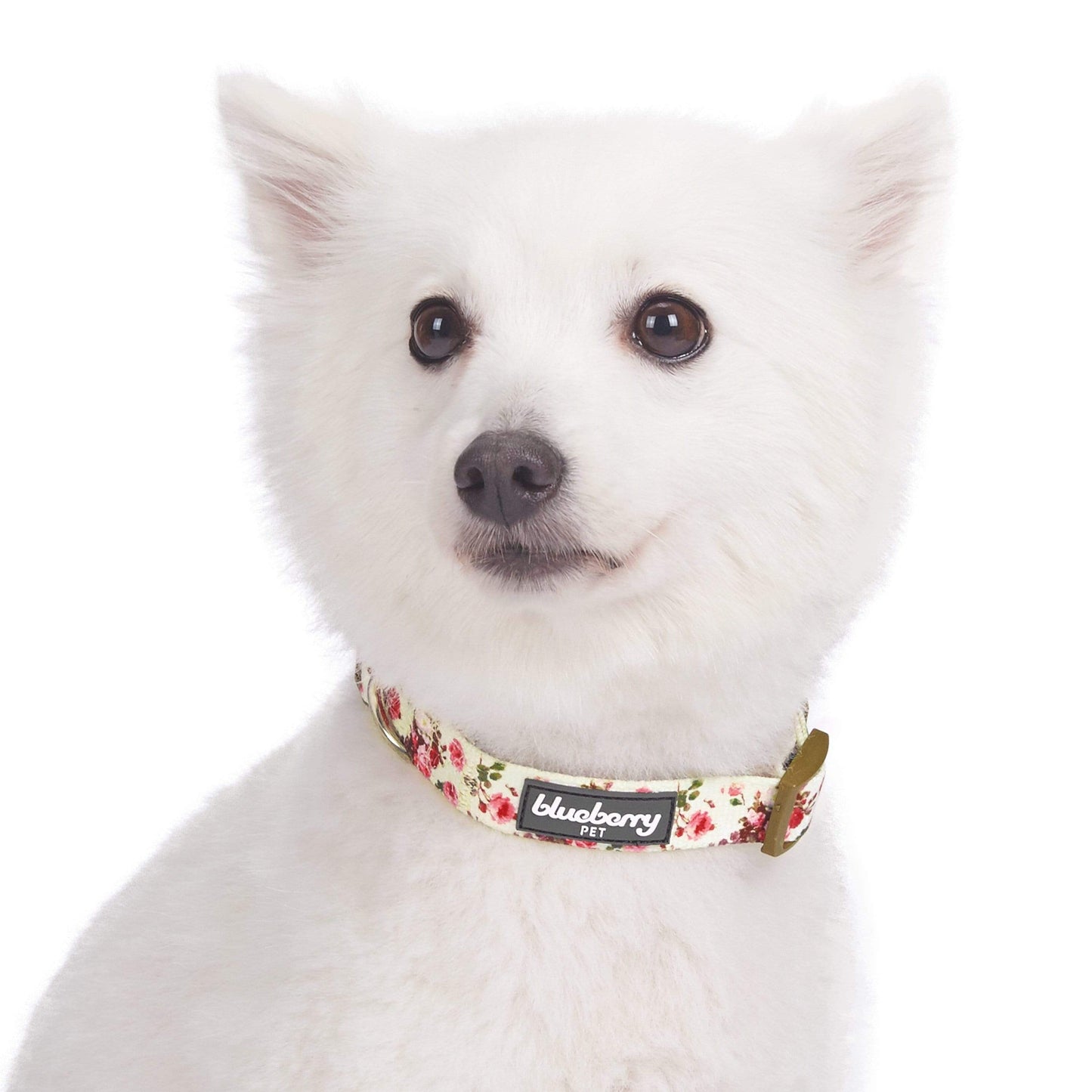 🌹 Best-Selling Floral Dog Collar – Elegant, Durable & Everyday Ready 🐾