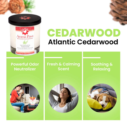 Cedarwood Candle