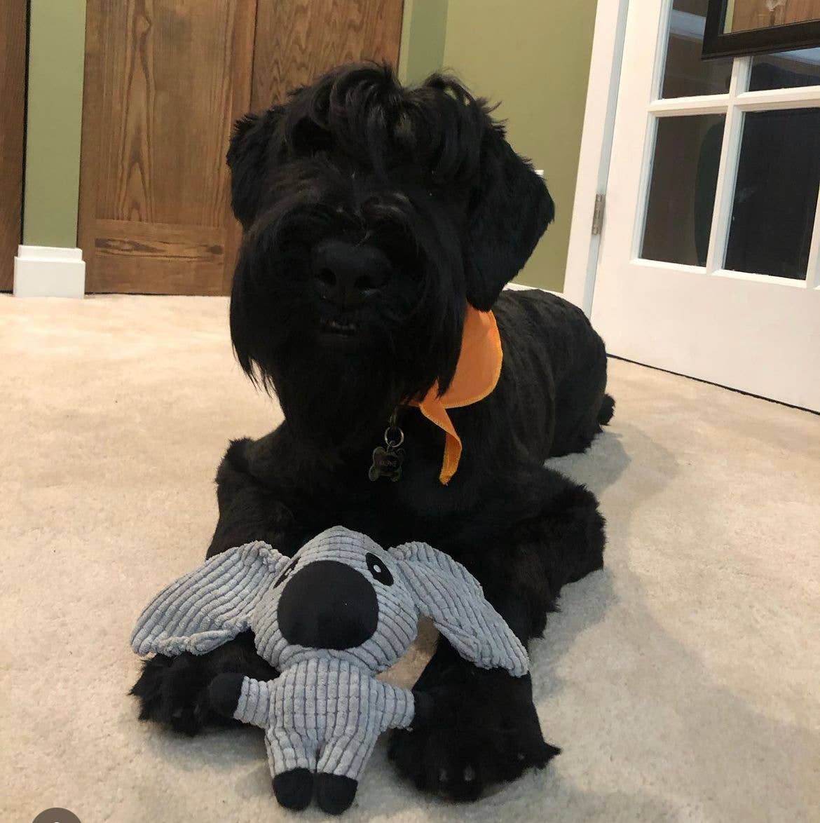 🐨🐶💚 Koala Small Plush Dog Toy – Eco-Friendly Fun for Playful Pups 💚🐾