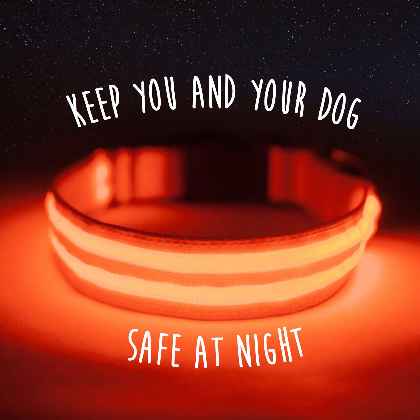 Weather-Resistant LED Dog Collar