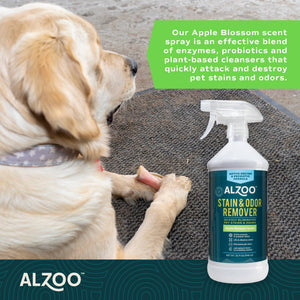 Enzymatic Stain & Odor Remover Apple Blossom