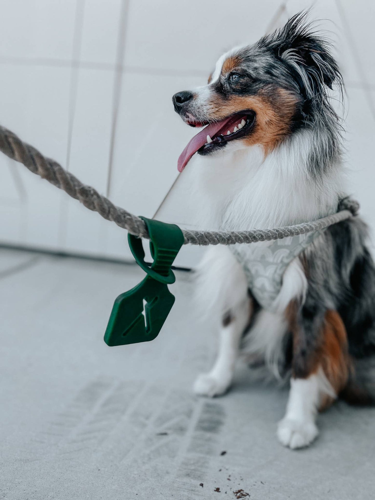 Poop Bag Carrier Attachment