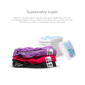 Washable Dog Diapers