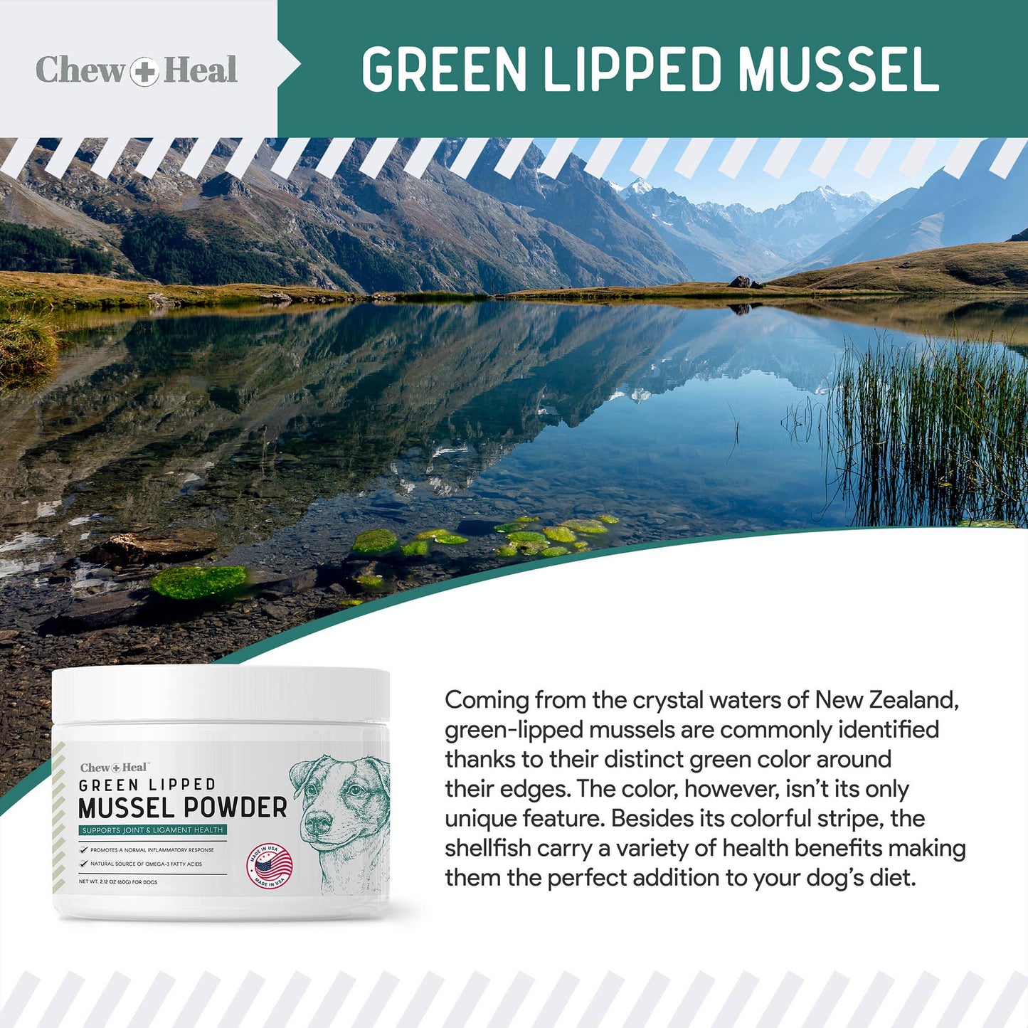 🦪🐾 Green-Lipped Mussel (GLM) Powder for Dogs – Joint Support Superfood