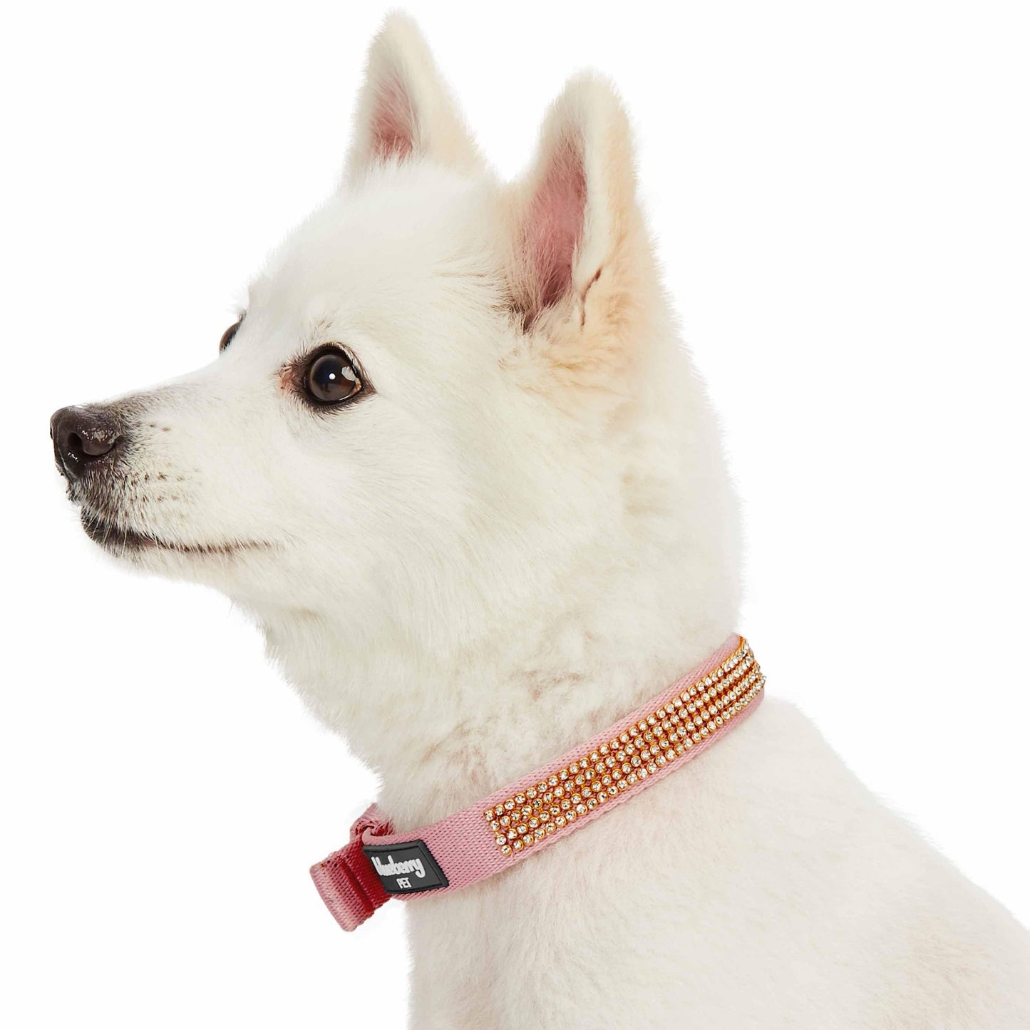 4 Colors, Bling Crystal Rhinestone Dog Collars