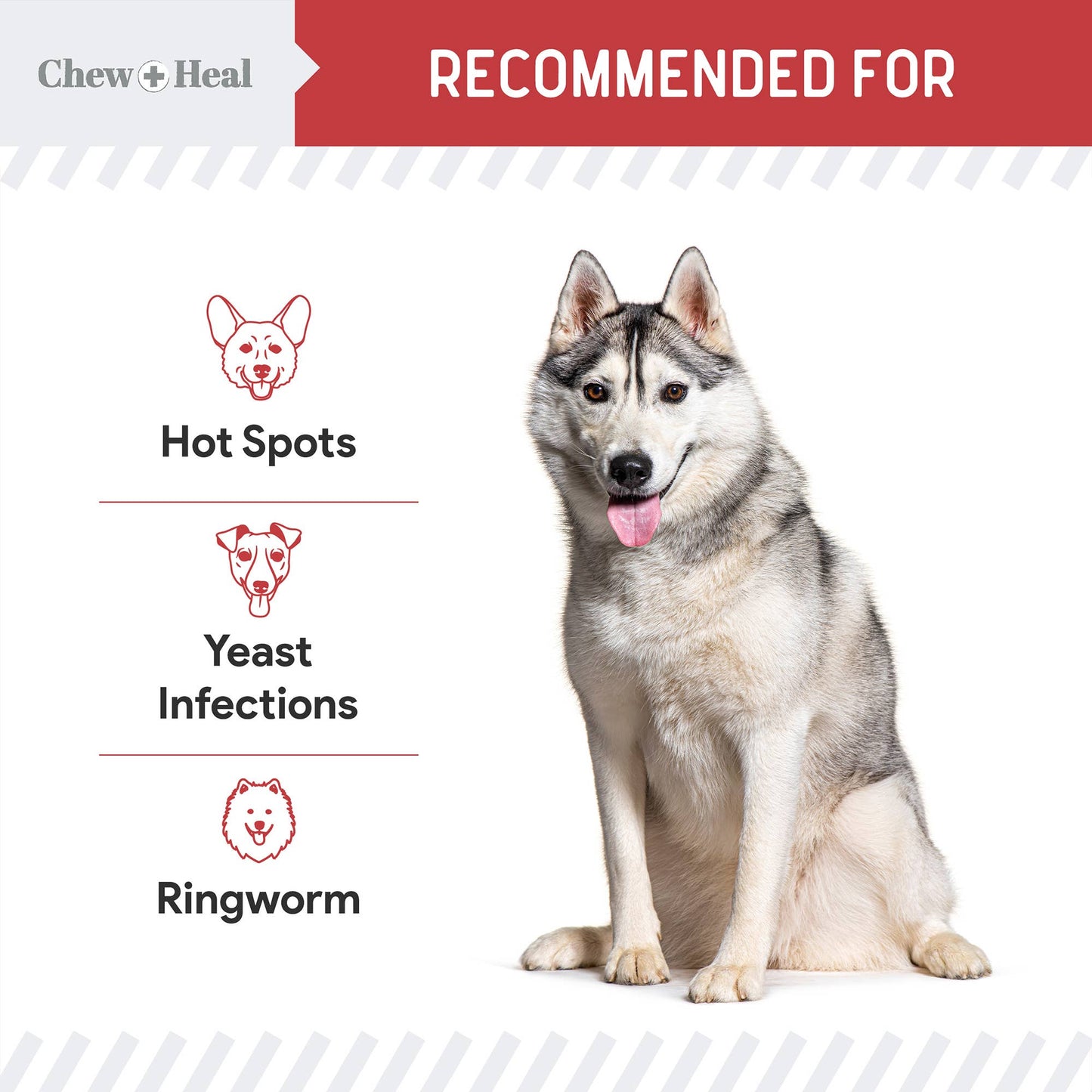 🧼🐾 Medicated Antimicrobial & Antifungal Pet Wipes – Daily Skin Support for Dogs & Cats