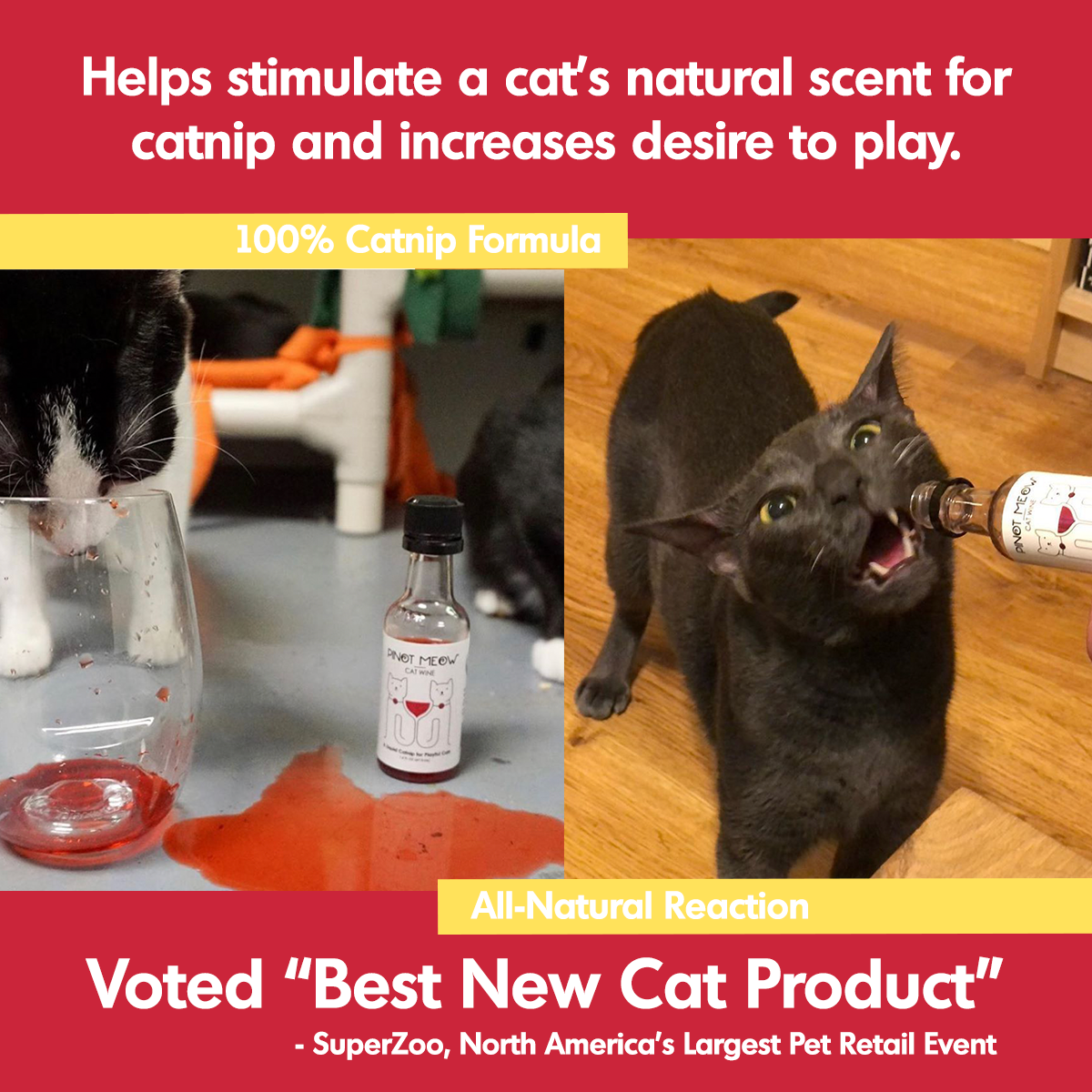 Pawty Twin Pack Cat White Wines