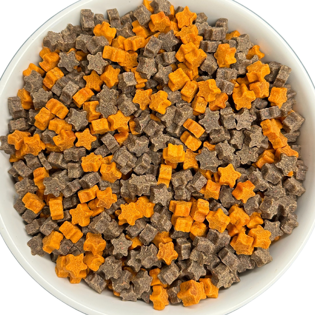 🫐🎃 Pumpkin & Blueberry Soft Chews for Dogs