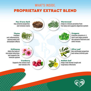 Herbal Antibiotics for Cats & Dogs