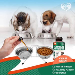 Herbal Antibiotics for Cats & Dogs