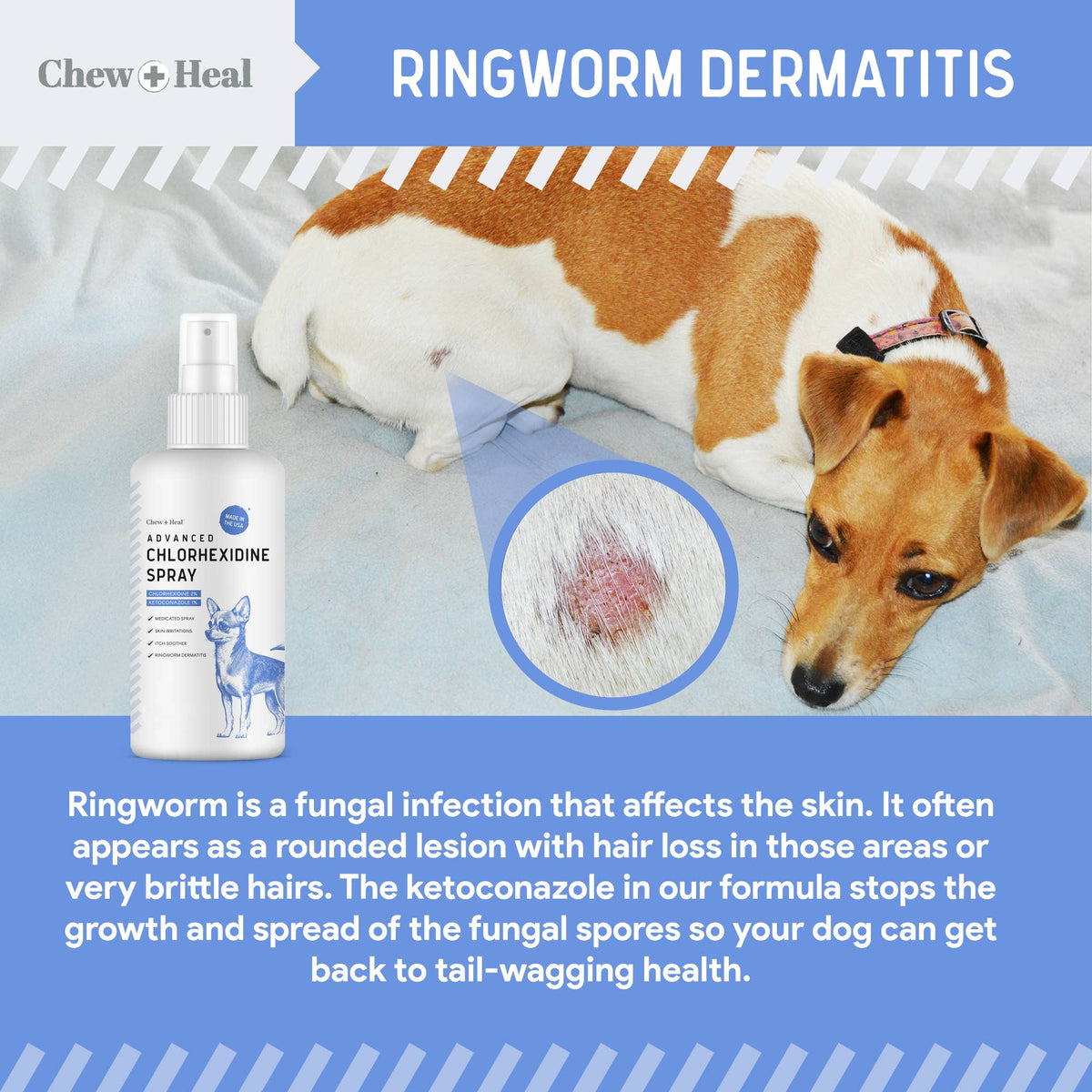 🐶🩹Chew + Heal Advanced Chlorhexidine Medicated Wound Care Spray for Dogs