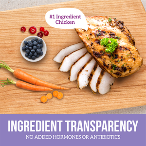 Little Cups Small Breed