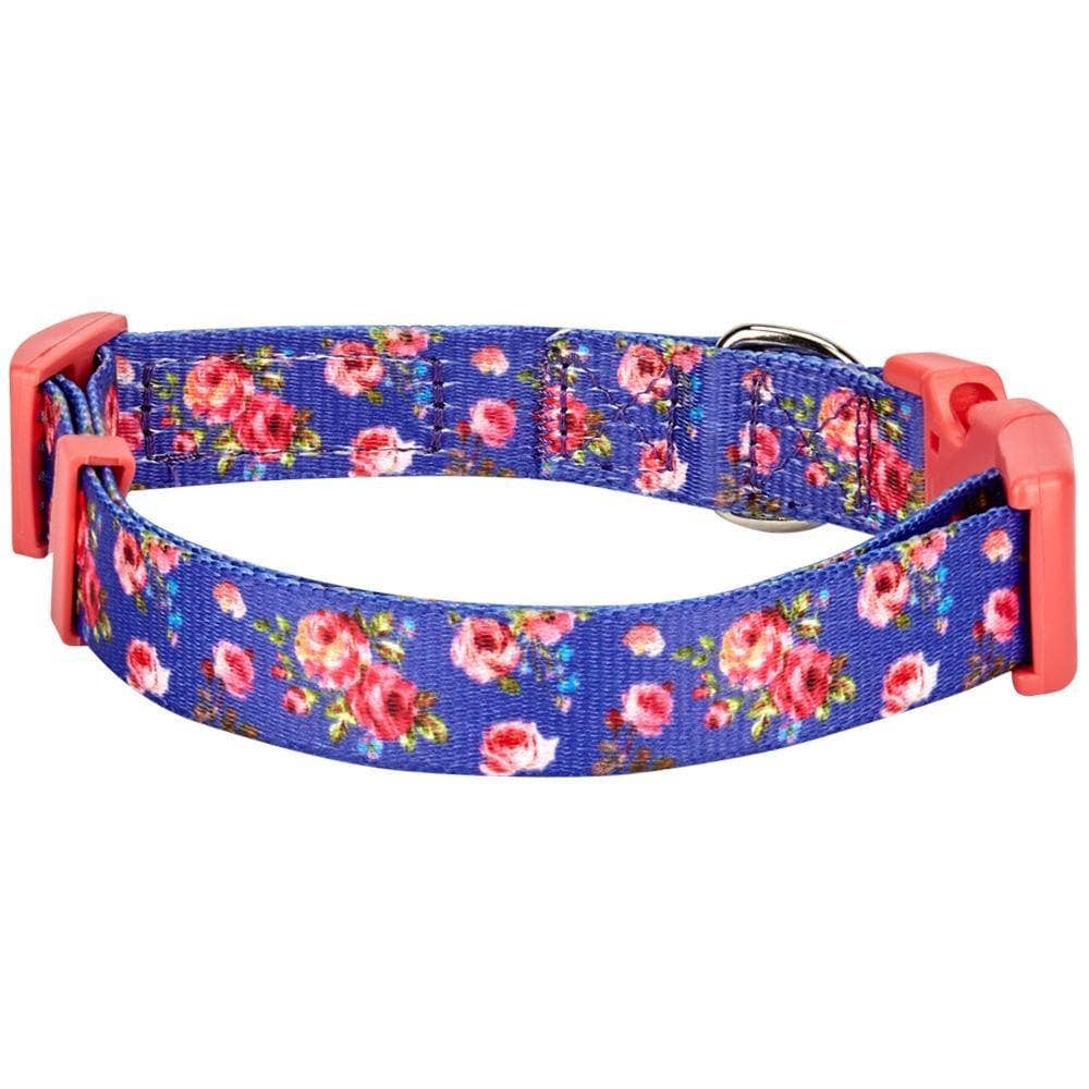 🌹 Best-Selling Floral Dog Collar – Elegant, Durable & Everyday Ready 🐾