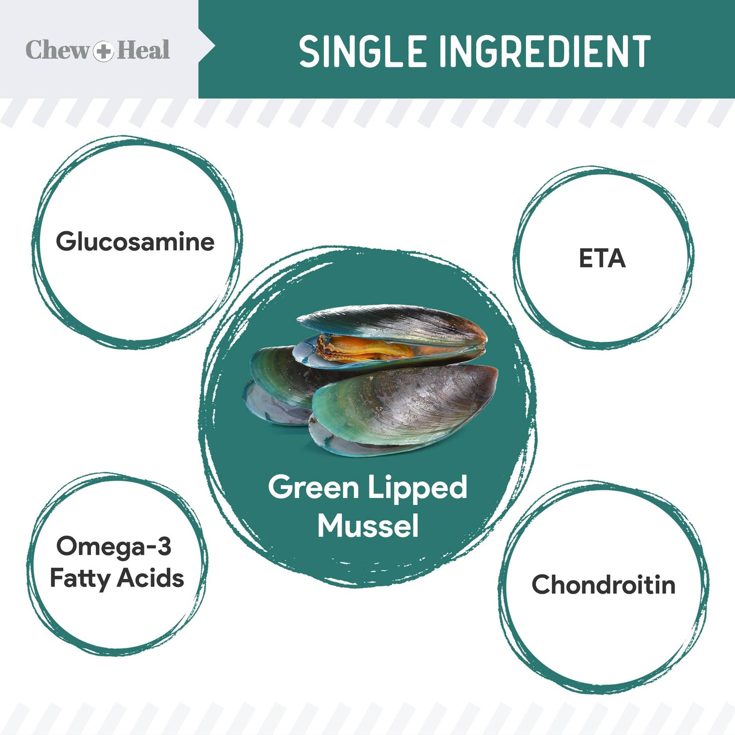 🦪🐾 Green-Lipped Mussel (GLM) Powder for Dogs – Joint Support Superfood