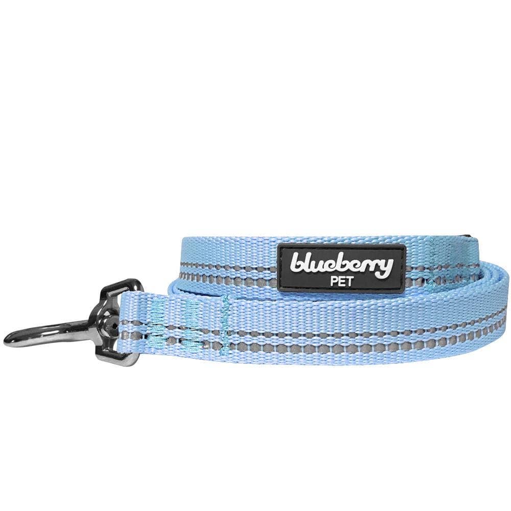 🌸 Spring Colors Reflective Soft Padded Safety Dog Leash