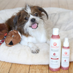 Dog Coat Spray Pomegranate Cucumber