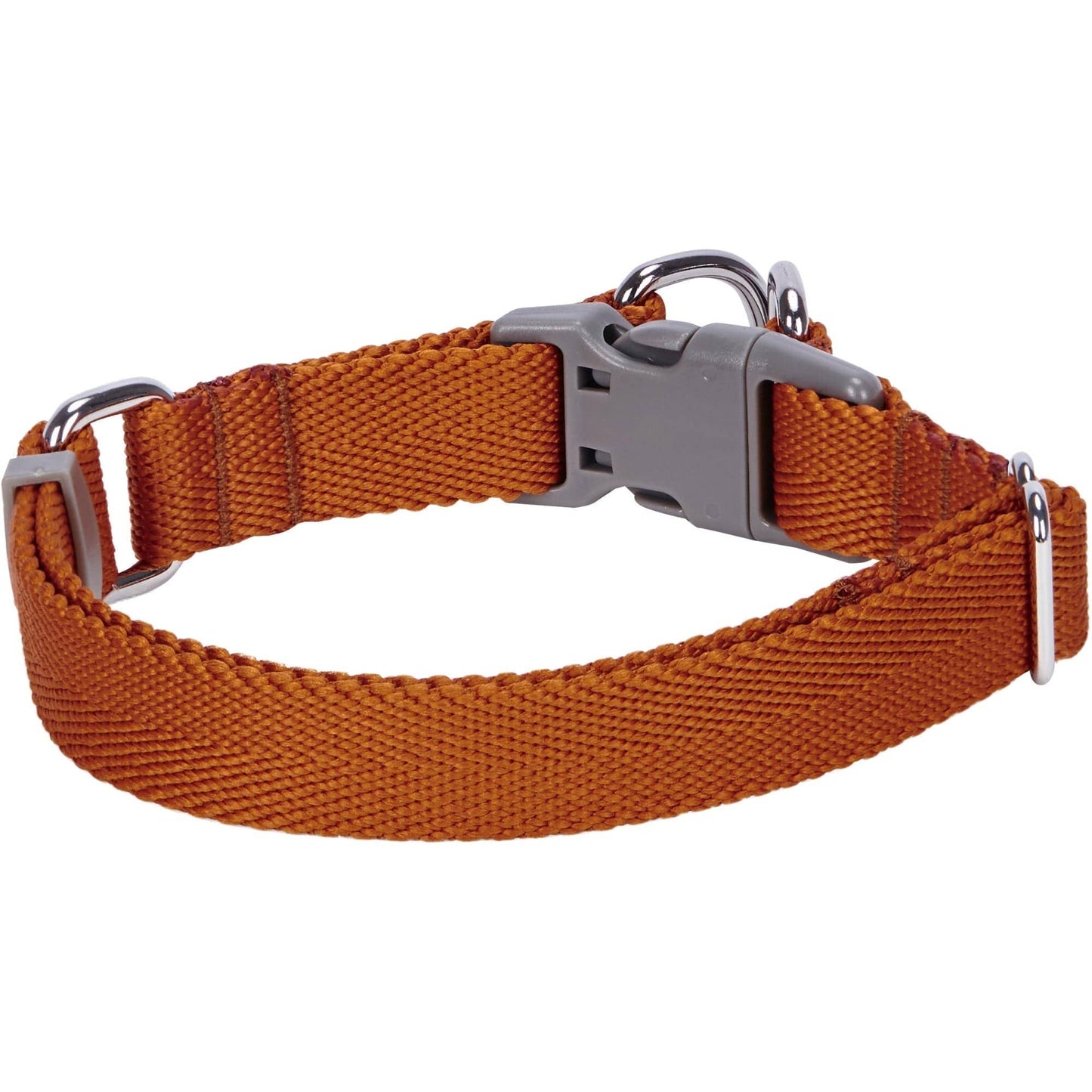 ✨ Dogs & Cats & Co. Double D-Ring Dog Collar 🐾