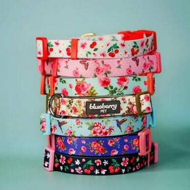 🌹 Best-Selling Floral Dog Collar – Elegant, Durable & Everyday Ready 🐾