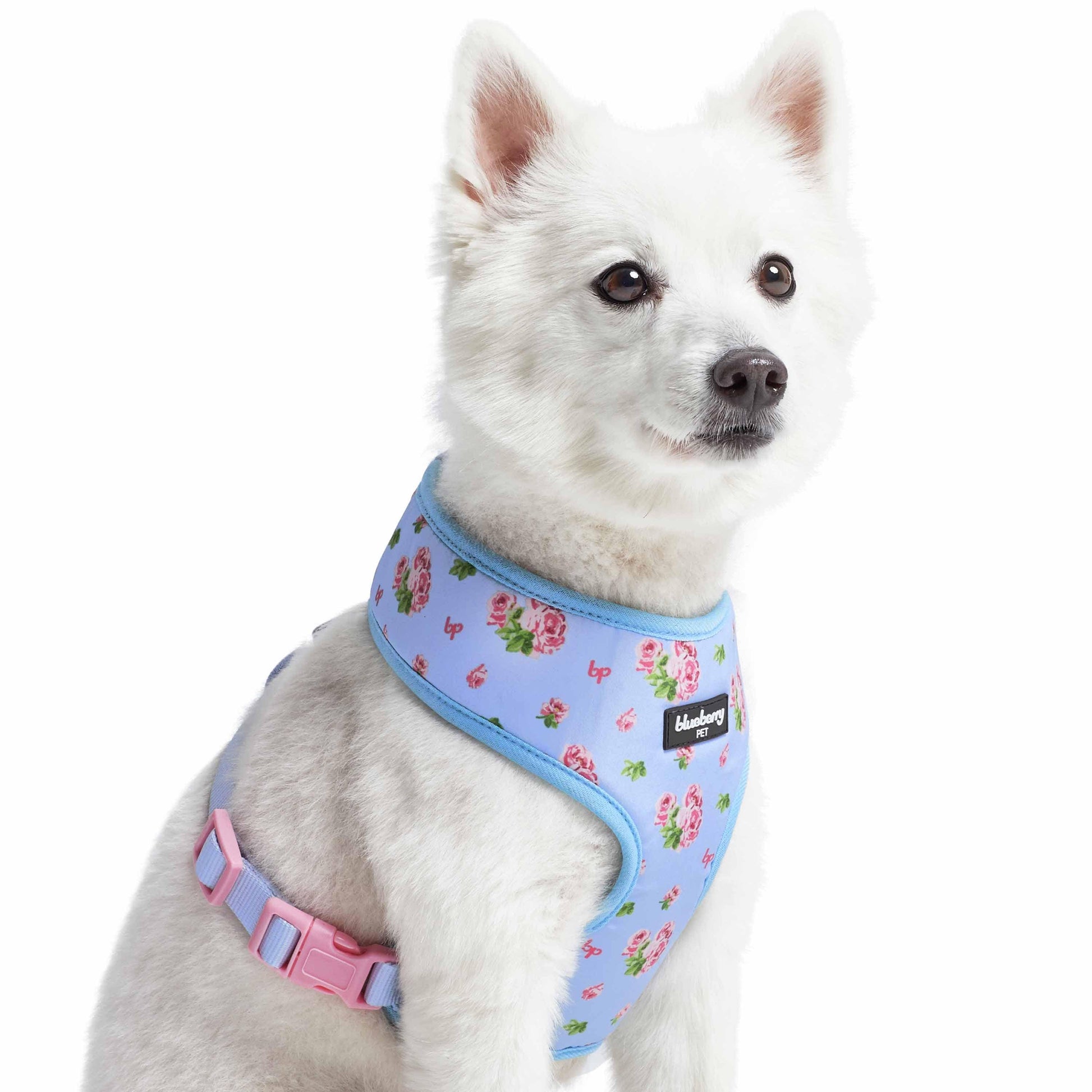 3 Colors, Petal Paws Floral Dog Harness Vest