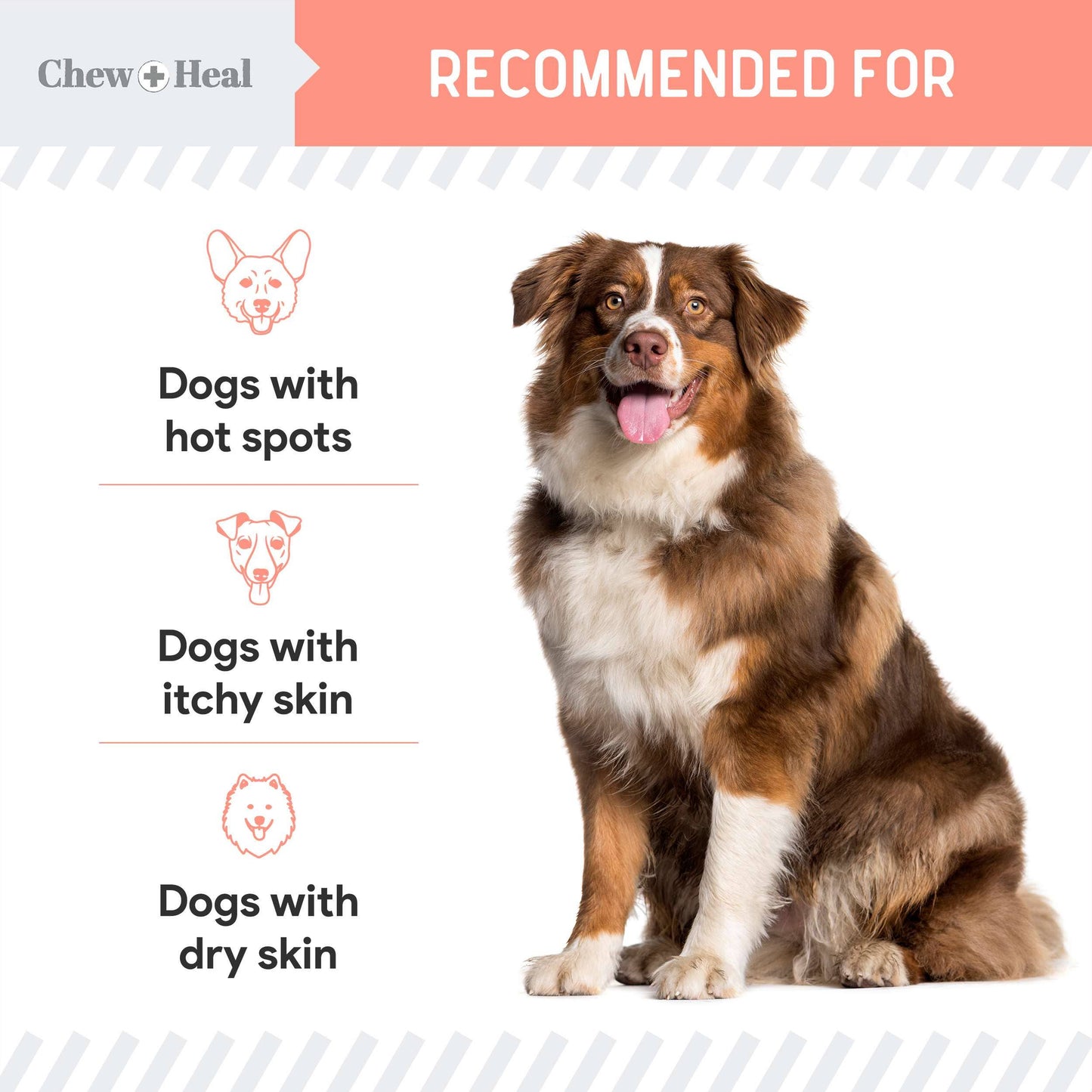 🌿🐾 Natural Hot Spot & Itching Support (2oz) – Botanical Skin Relief for Dogs