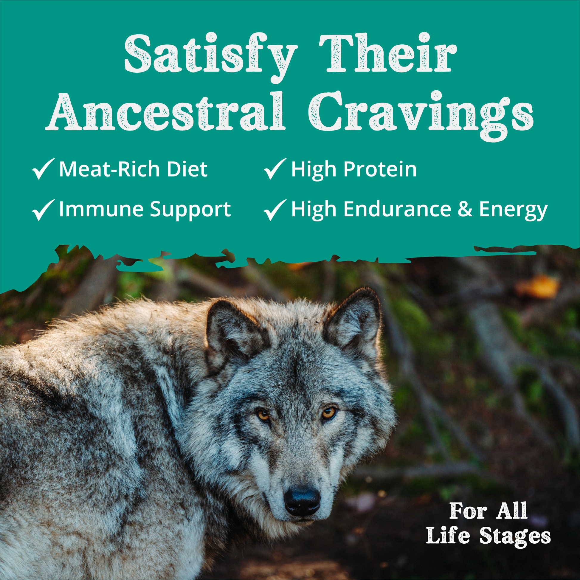 Homeland with Lamb Meal