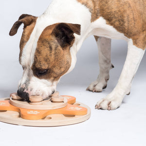 🌼 Dog’s Flower Puzzle Toy – Adjustable Level 1–4 Enrichment Game for Curious Dogs