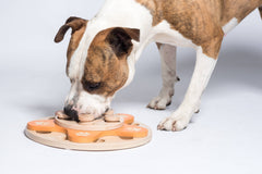 🌼 Dog’s Flower Puzzle Toy – Adjustable Level 1–4 Enrichment Game for Curious Dogs