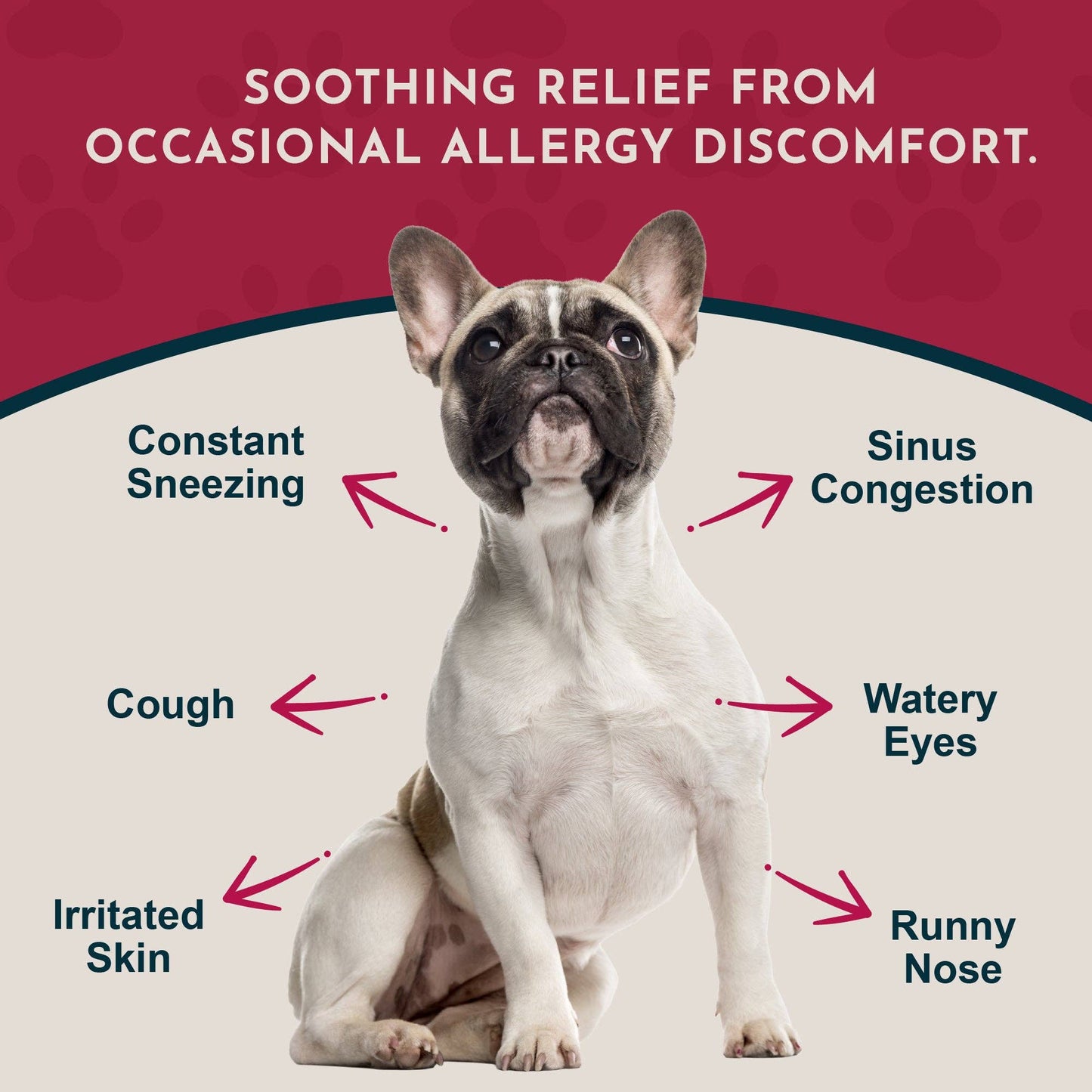 🌿🤧 Seasonal Allergy Herbal Tonic | Maintains Normal Histamine Levels