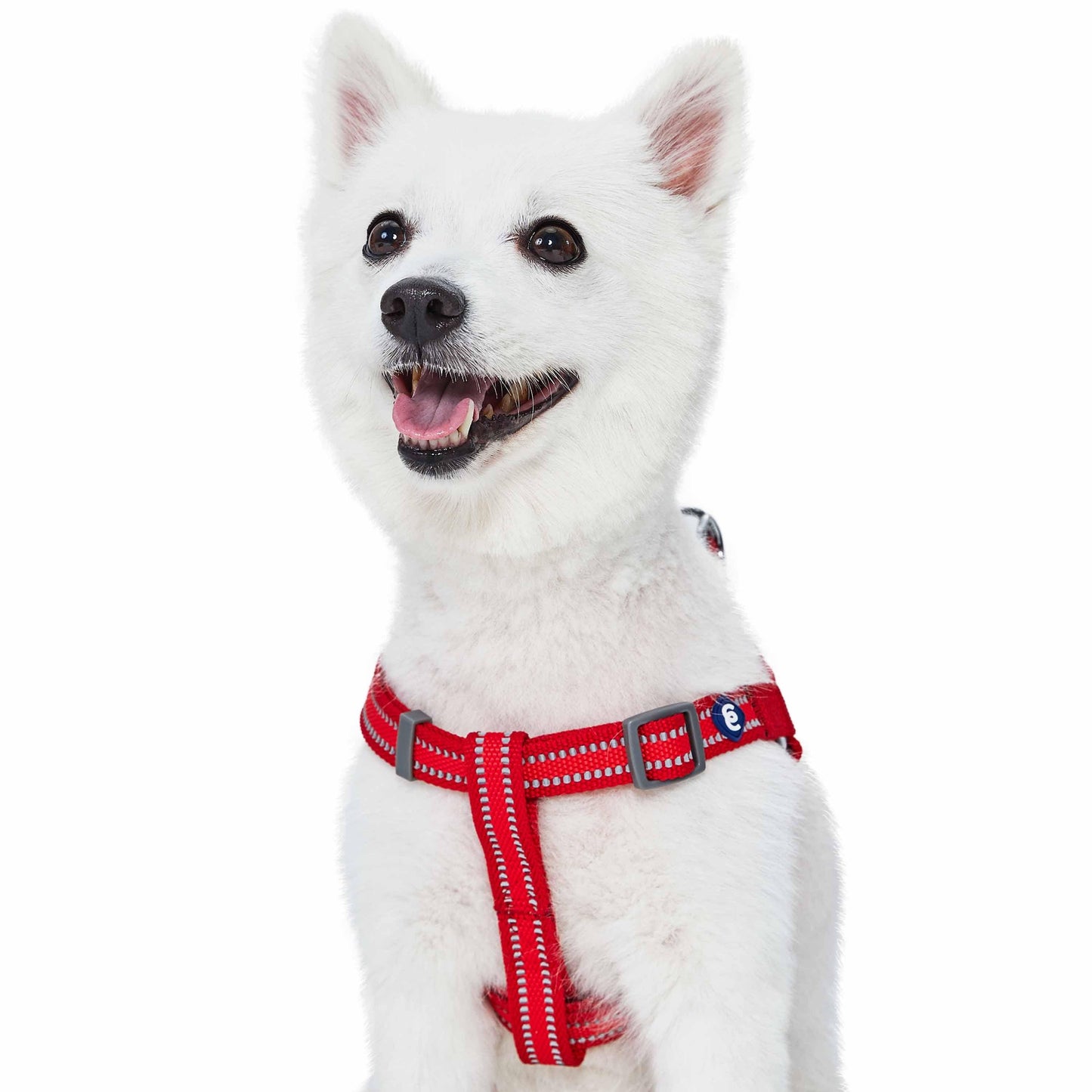 🌙🐾Better Basics Reflective Dog Harness