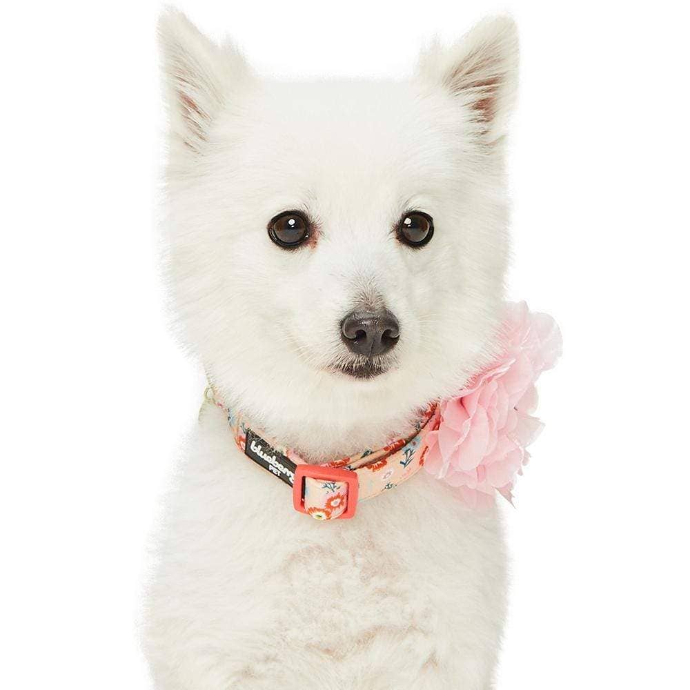 🌸 Floral Dog Collar with Pink Peony – Elegant, Feminine & Fashion-Forward 🐾
