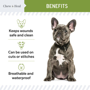 Pet First Aid Liquid Bandage