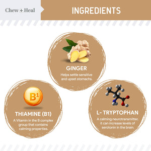 Anxiety + Stress Dog Peanut Butter Flavor