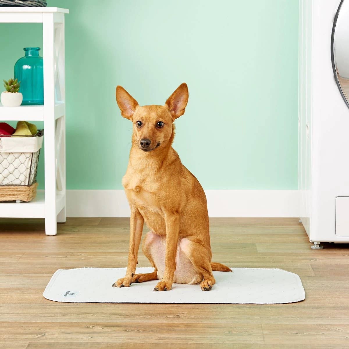 Pawtect® Pads Premium Washable Dog Pee Pads