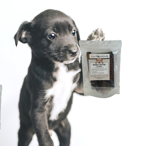 Peanut Butter Pup Bars