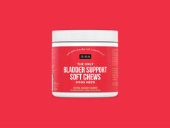 The Only Bladder Support Soft Chews Dogs Need