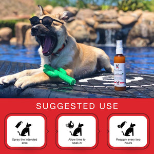 Dog Sunscreen 4 oz