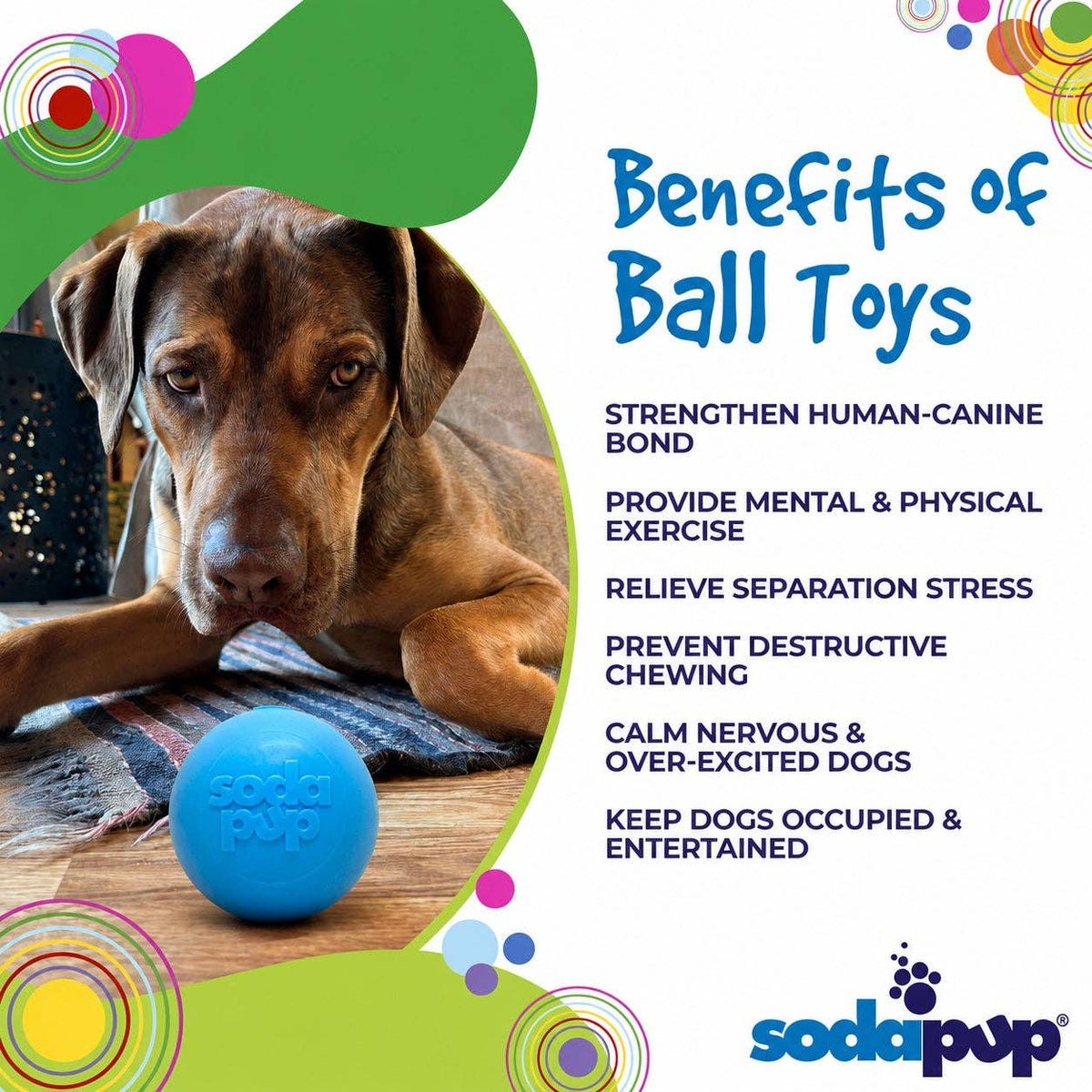 🐶🎾SodaPup Squeak Ball – Durable Floating Dog Toy Made in the USA