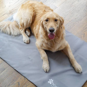 Cool Pet Pad Cover