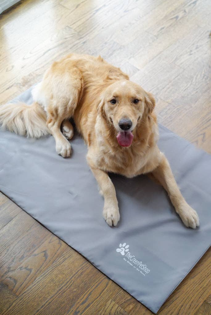 Cool Pet Pad Cover