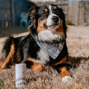 Holistic Balm - Organic