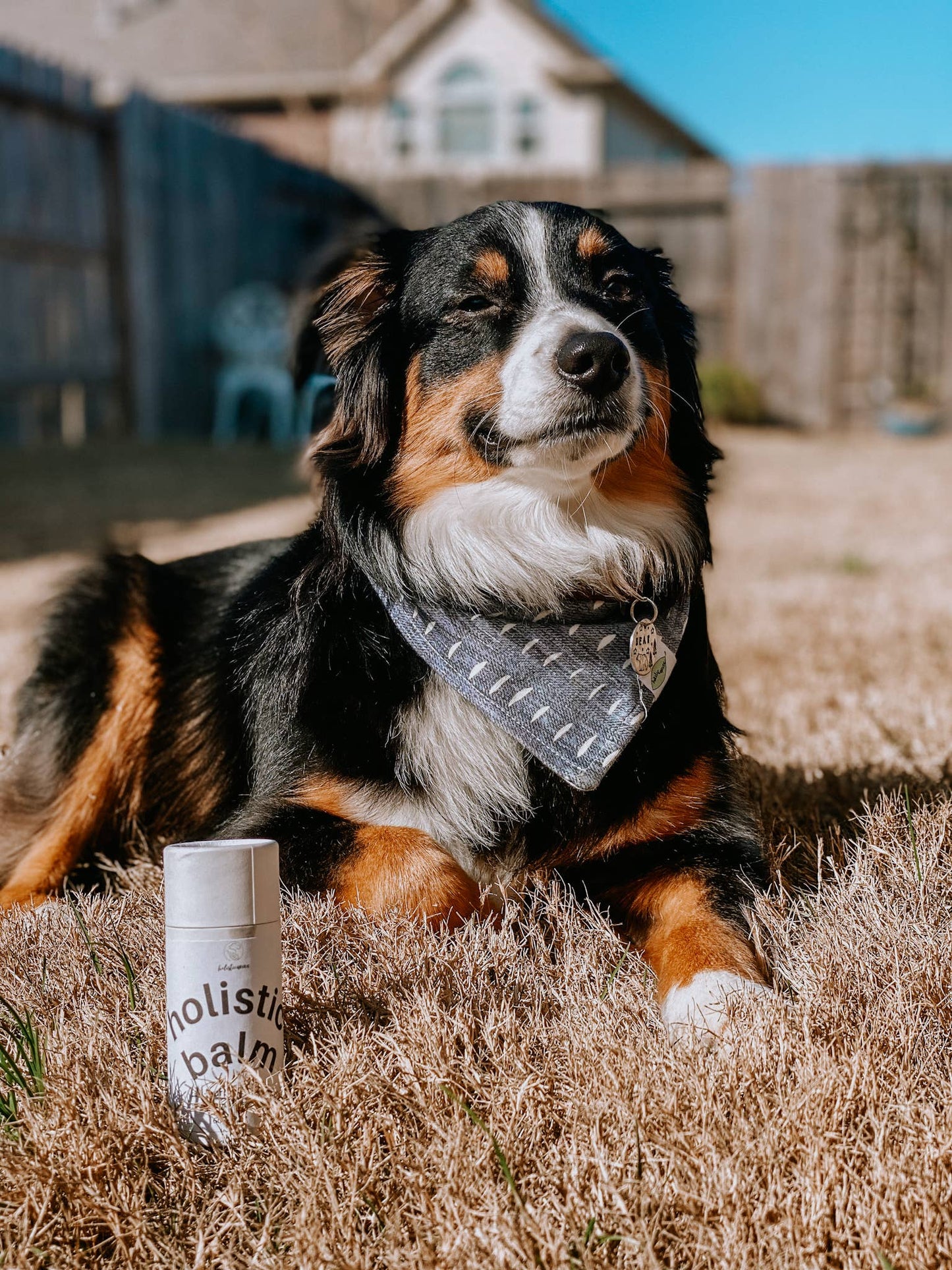 Holistic Balm - Organic
