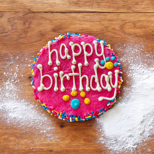 🎉🐾 Colorful FIESTA Sprinkle Doggie Cake Treat