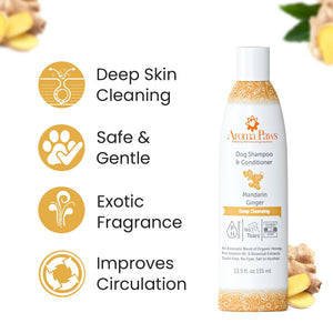 Mandarin Ginger Shampoo 13.5oz